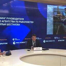 Глава Росрыболовства Илья ШЕСТАКОВ ответил на вопросы журналистов на брифинге в РИА «Новости»