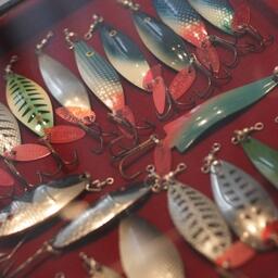 За участки для любительской рыбалки на Печоре выручили больше полумиллиона. Архивное фото