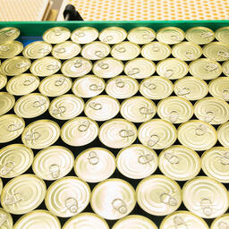 Инвесторам в рыбу на Сахалине и Курилах приготовили почти 300 млн рублей господдержки 