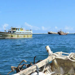 Сомали планирует ужесточить режим лицензирования рыбного промысла. Фото Seafood Source