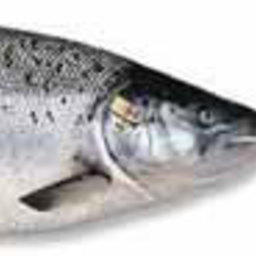 Экспорт норвежской рыбопродукции в 2006 году побил рекорды всех предыдущих лет