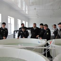 Российские и китайские инспекторы проконтролировали летний промысел в пограничных водах Амура. Фото пресс-службы Амурского теруправления Росрыболовства