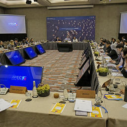 Заседание 12-й рабочей группы Азиатско-Тихоокеанского экономического сотрудничества по океану и рыболовству прошло в чилийском Сантьяго. Фото пресс-службы ФАР