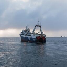 Рыбный промысел на Курилах. Фото пресс-службы ЮКРК