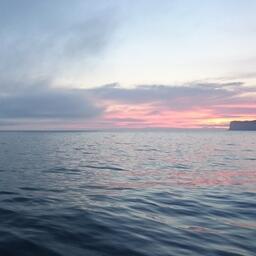 На Южных Курилах стартовала экспедиция по изучению каланов. Архивное фото