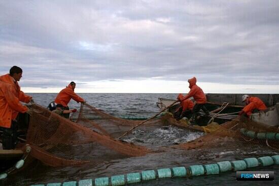 Опрос Fishnews: Уточнение границ участков — востребованная мера