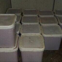 Стоимость фальсифицированного деликатеса оценивают на сумму свыше 6,7 млн рублей. Фото пресс-службы УМВД по Магаданской области