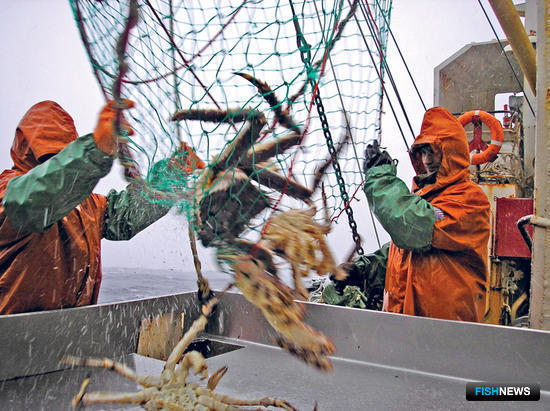 Федеральное агентство по рыболовству вновь проведет совещание по законопроекту о крабовых аукционах