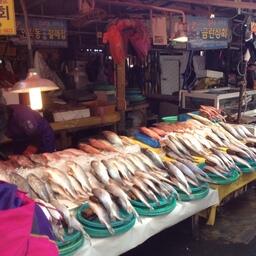 Рыбный рынок в Южной Корее. Архивное фото