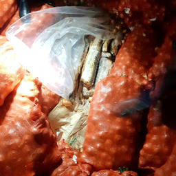 Рыба была спрятана за мешками с луком. Фото пресс-службы Управления МВД России про Астраханской области