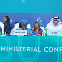 Министерская конференция закончилась решением продолжать текущие переговоры. Фото пресс-службы ВТО