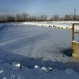 Специалисты Азово-Черноморского филиала Главрыбвода следят за зимовкой подопечных. Фото пресс-центра учреждения