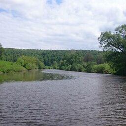 Река Осётр относится к водоему высшей категории рыбохозяйственного значения. Фото пресс-службы Росрыболовства