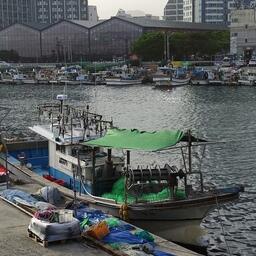 Рыболовецкие суда в Пусане