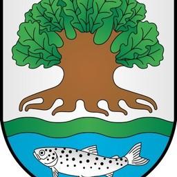 Герб Островецкого района с форелью. Фото Leonid 2 («Википедия») 