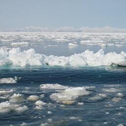 Рыбную продукцию с Камчатки доставили по Северному морскому пути в Мурманск. Архивное фото