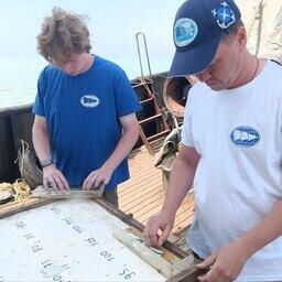 Анализ научного улова. Фото пресс-службы ВНИРО