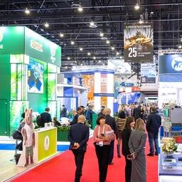 Global Fishery Forum & Seafood Expo Russia в этом году посетили более 20 тыс. специалистов из 84 регионов России и 81 зарубежной страны. Фото предоставлено ESG
