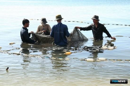 Вьетнам надеется избежать запрета на экспорт рыбопродукции в ЕС. Фото Википедии