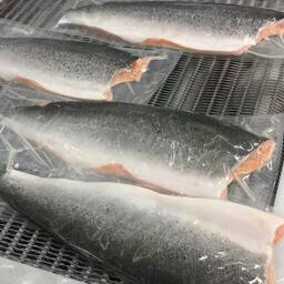 Лососевая продукция на заводе в Чили. Архивное фото