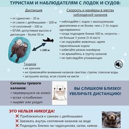 Памятка о безопасном наблюдении за каланами. Авторы: сотрудники заповедника «Курильский», опубликовано на сайте учреждения (http://kurilskiy.ru/)