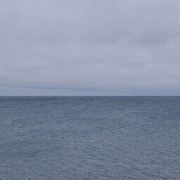 Сахалинский залив Анива