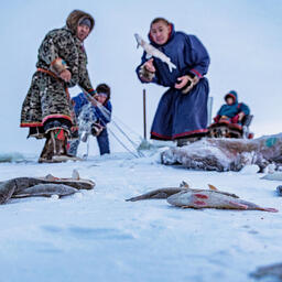 Промысловикам Ямала увеличат господдержку. Фото из архива пресс-службы губернатора ЯНАО