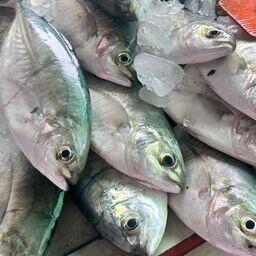 Особенно беспокоят Europêche поставки рыбопродукции из Таиланда