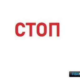 В подзоне Приморье выбрали рекомендованные объемы гигантского осьминога Дофлейна