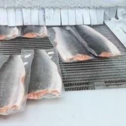 Производство лососевой продукции в Чили