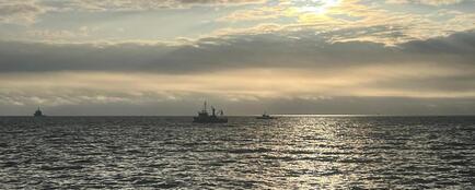 В уже традиционном послепраздничном обзоре Fishnews рассказываем о самых резонансных темах прошедшего года.