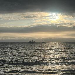 В уже традиционном послепраздничном обзоре Fishnews рассказываем о самых резонансных темах прошедшего года.