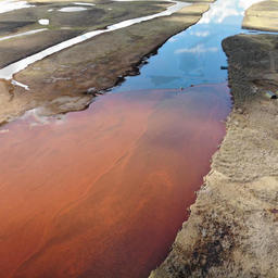 Пятно нефтепродуктов на реке пытались остановить боновыми заграждениями. Фото российского отделения Greenpeace