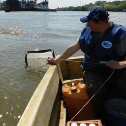 Для лова икры и молоди используются ихтиопланктонные конусные сети. Фото пресс-службы АзНИИРХ