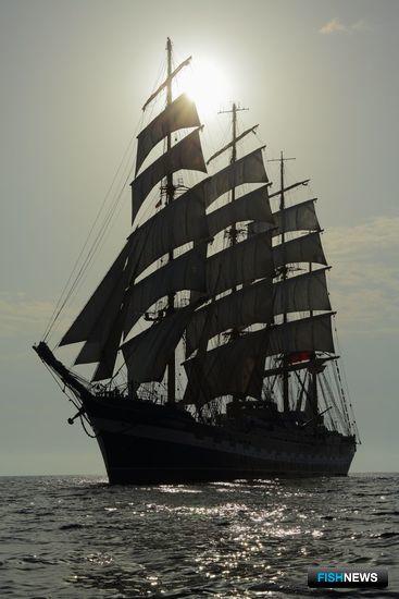 «Крузенштерн» снова выйдет в море 23 мая. Фото пресс-службы БГАРФ