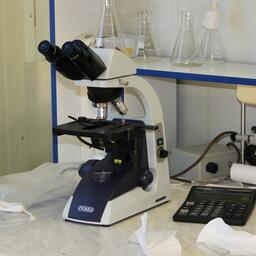 Из рыбных отходов научились получать биопластик 