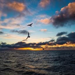 Рассвет в Охотском море. Фото предоставлено ГК «Антей»
