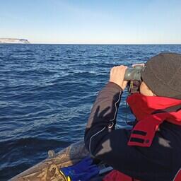 В ходе мониторинга специалисты выполнили 130 км лодочного учета. Фото пресс-службы ВНИРО