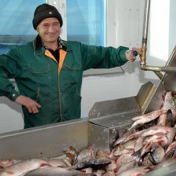 Рыбодобывающим предприятиям Ямала упростят порядок получения господдержки. Фото пресс-службы регионального правительства ЯНАО (www.yanao.ru)
