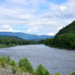 Река Анюй. Фото Миллаюдмила («Википедия»). CC BY-SA 4.0