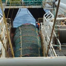 Научные наблюдатели ВНИРО завершили исследования на рыболовных судах, работавших в районах регулирования международных организаций в северной Атлантике. Фото пресс-службы института