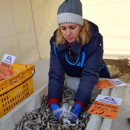 Разную рыбу предложили покупателям на ярмарке во Владивостоке
