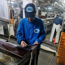 Специалисты Магаданского филиала ВНИРО работают на промысловом судне. Фото пресс-службы института