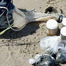 Специалисты исследовали сырьевую базу ценных беспозвоночных. Фото пресс-службы ВНИРО