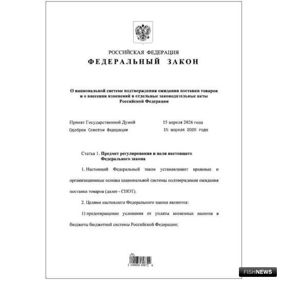 Президент подписал закон о СПОТ