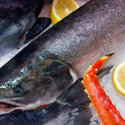 Продажа рыбы на бирже – это право, а не обязанность