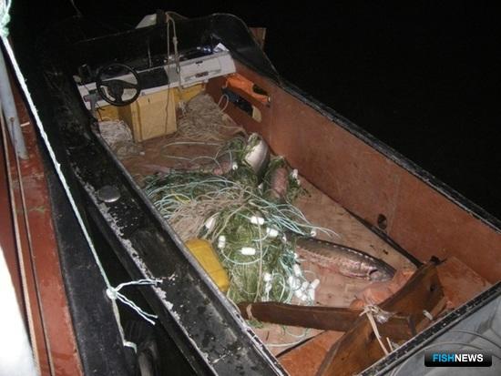 Изъято более тонны нелегальных уловов, в том числе 844 кг осетровых видов рыб. Фото пресс-службы Амурского территориального управления Росрыболовства