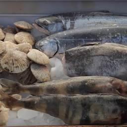 Российская рыба и морепродукты на выставке в Циндао