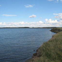 Озеро Горькое. Фото департамента природных ресурсов и охраны окружающей среды Новосибирской области