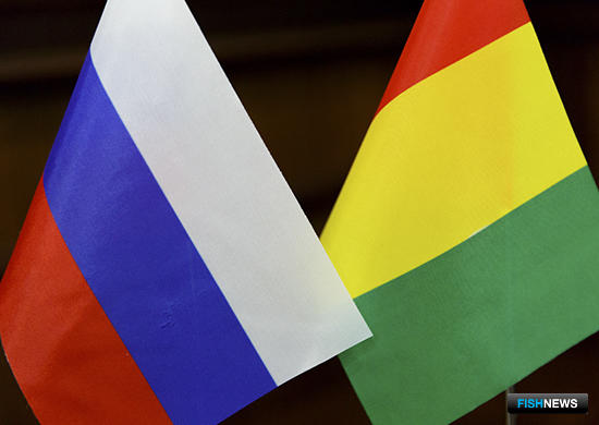 Россия и Гвинея планируют подписать соглашение о сотрудничестве в области рыбного хозяйства 